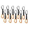 PETZL Spirit  Express-Set 10er Setangebot